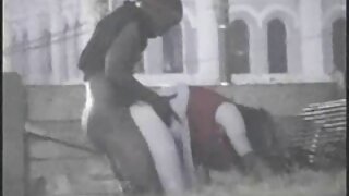 Napaljena djevojka siše kurac na balkonu domace porno scene